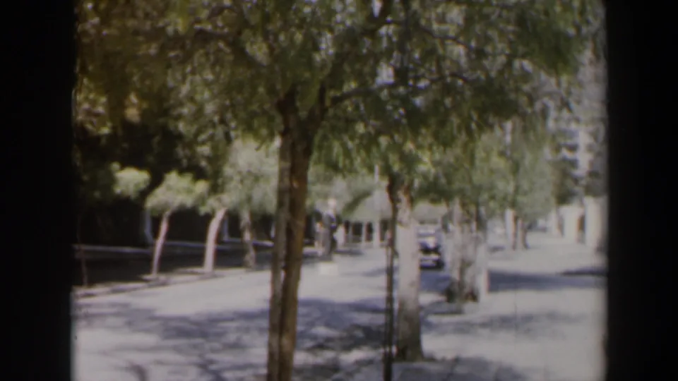 1960 Israel 8mm frame showing a bright tree-lined street with a small white car and distant pedestrians.