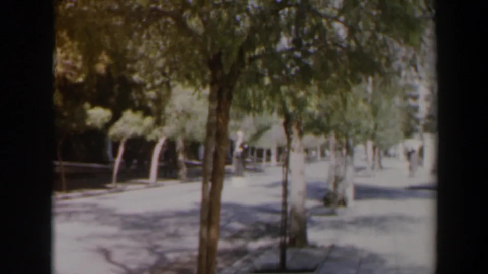 End frame of a 1960 Israel 8mm street scene, with trees, sunlit pavement, and small distant pedestrians visible.