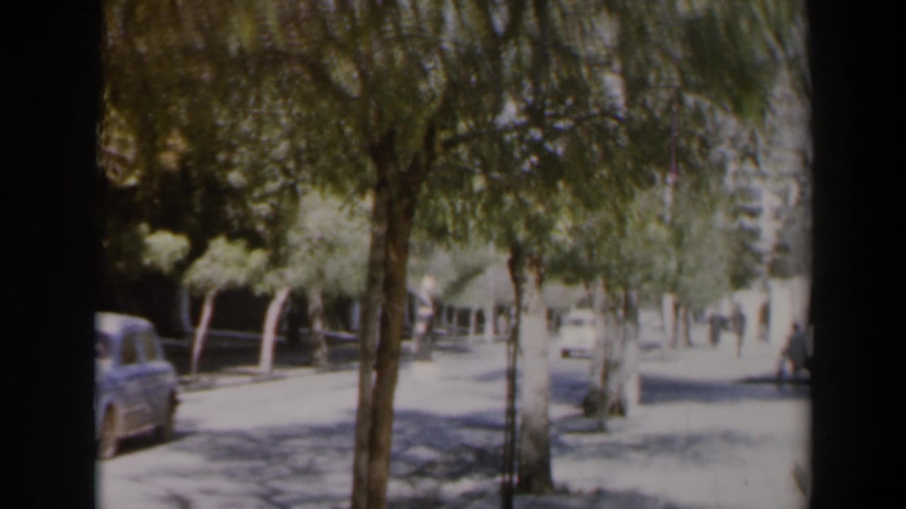 White car on a sunlit tree-lined street with sidewalks and distant pedestrians.