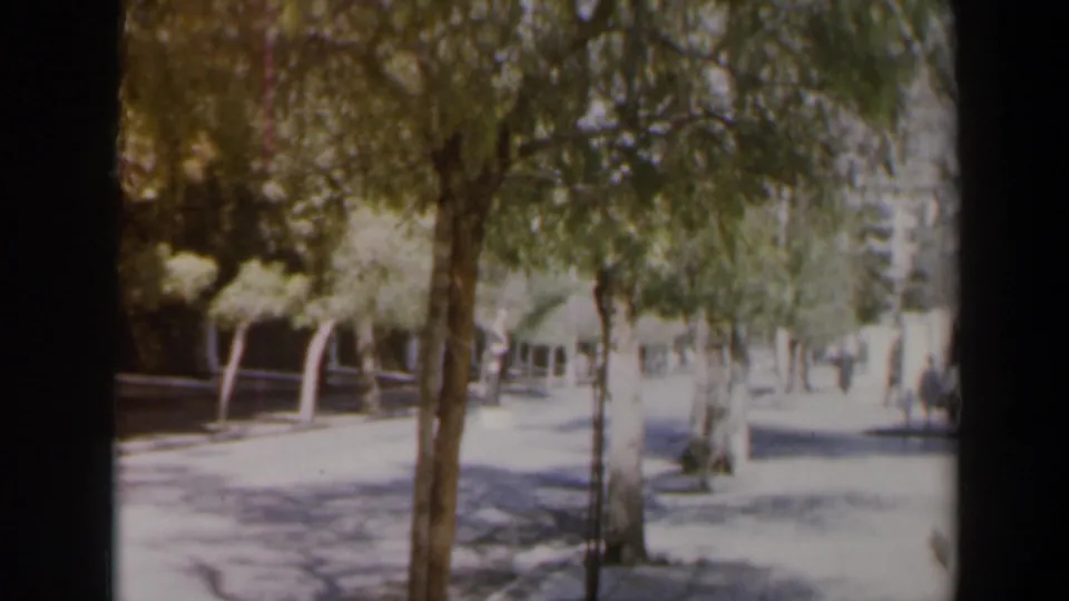1960 Israel street view with trees, a pale car in the roadway, sidewalks, and pedestrians softened by 8mm focus.