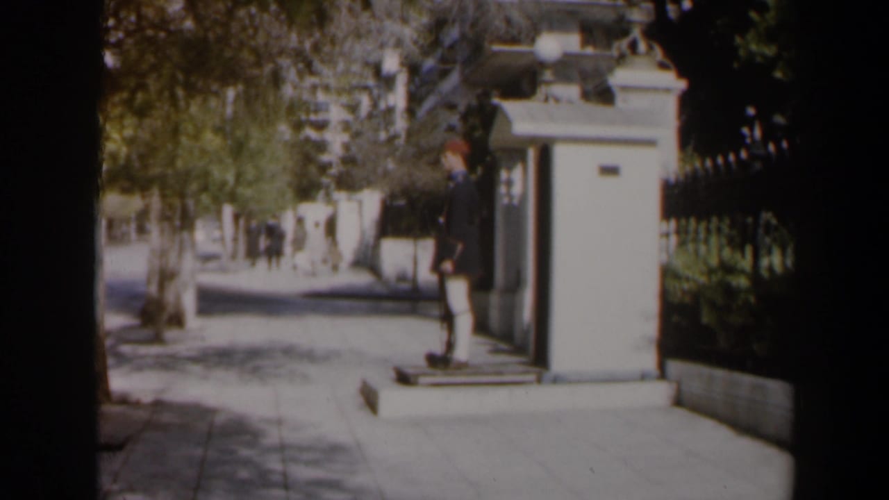 Guard remains posted beside the sentry box with pedestrians farther down the sidewalk.