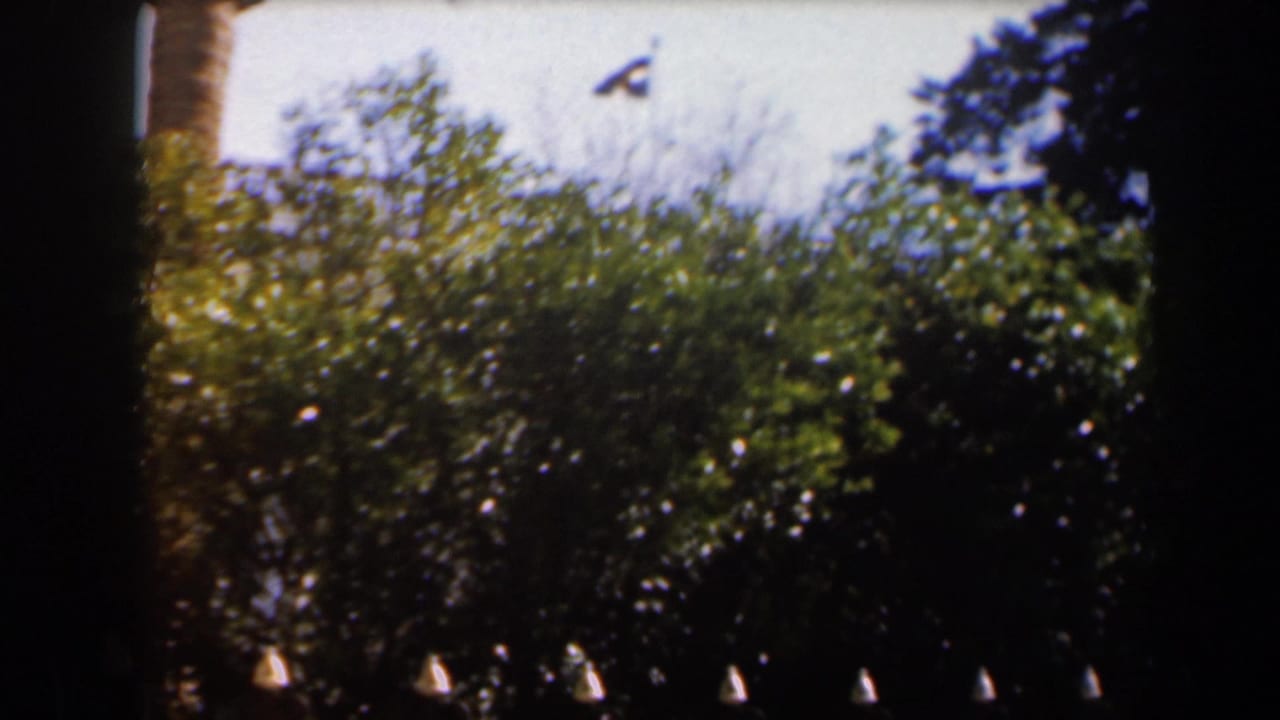 Trees and shrubs with a small flag near the top of the frame.