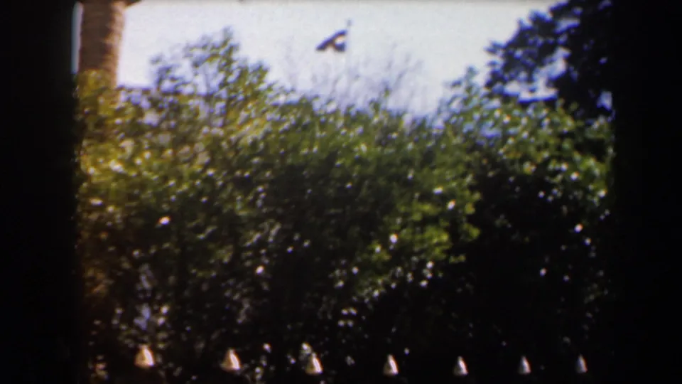 A handheld 8mm frame looks past dark tree trunks and thick greenery toward a small flag against the pale sky.