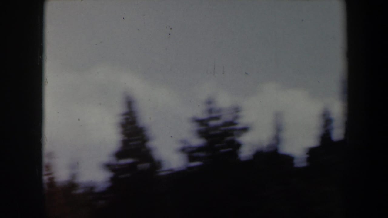 Dark tree silhouettes along a ridge beneath a pale cloudy sky.