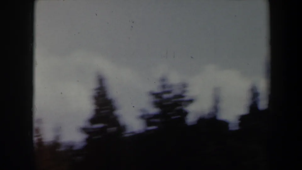 Soft 8mm frame from the Israel landscape pan, with conifer silhouettes and a dark ridge under cloud cover.
