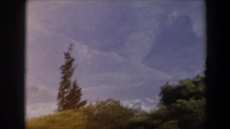Faded 8mm frame from Israel showing a lone conifer, low shrubs, and a bright clouded sky during the landscape pan.