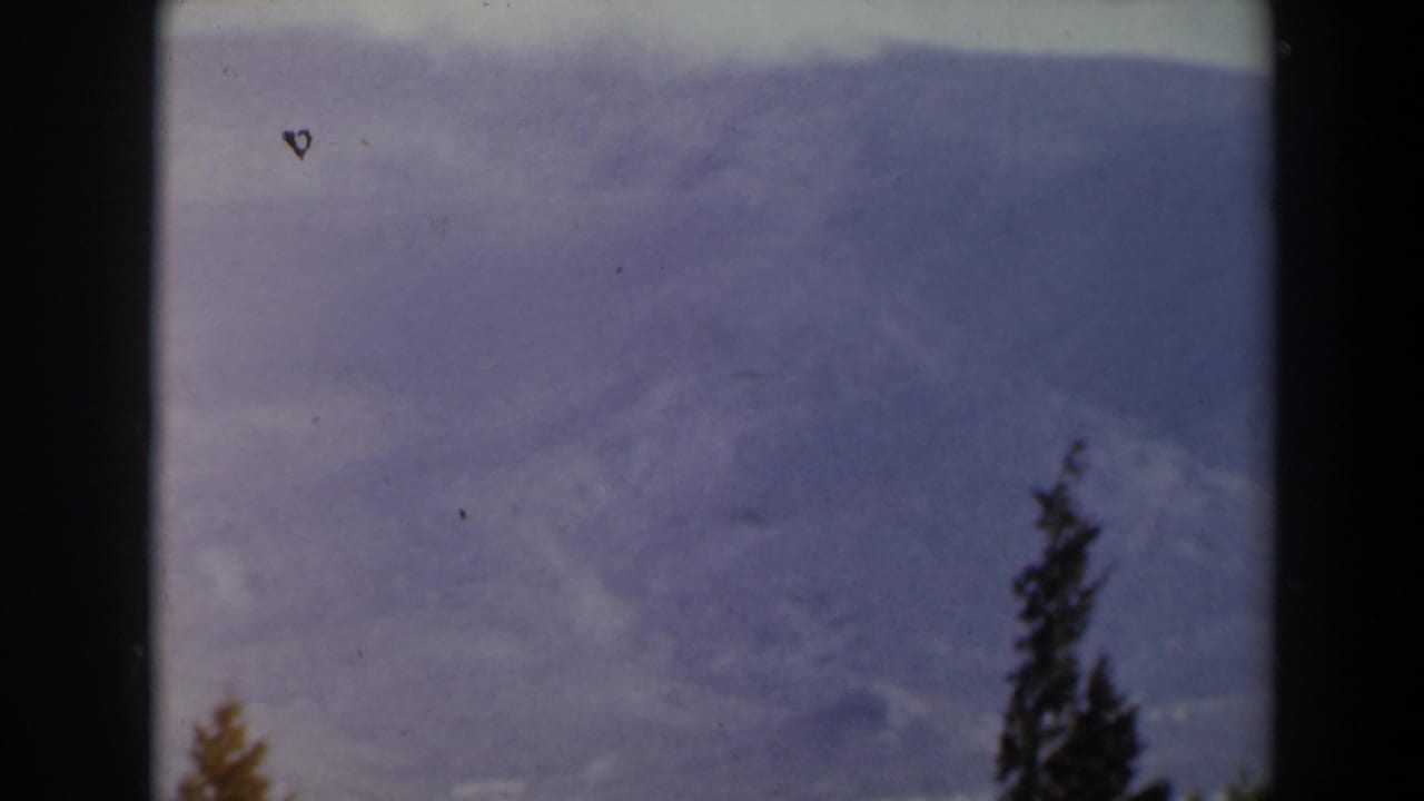 Soft hazy hills with a tall tree at the right edge and dark film-frame borders.