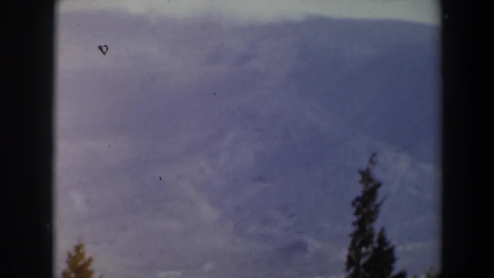 1960 Israel 8mm frame with blue-gray hills in haze, sparse treetops, and heavy dark borders from the projected film image.