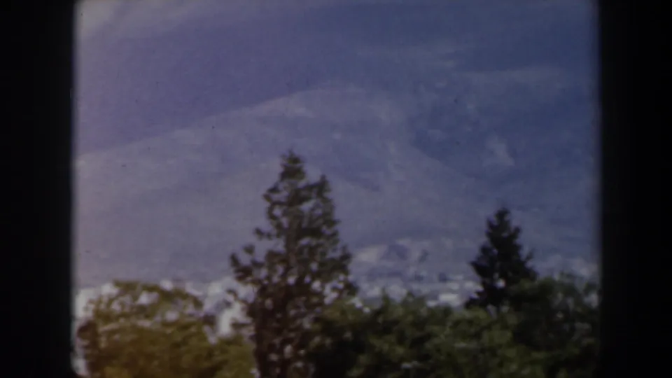 1960 Israel 8mm frame looking past green trees toward hazy hills and scattered pale buildings in the distance.
