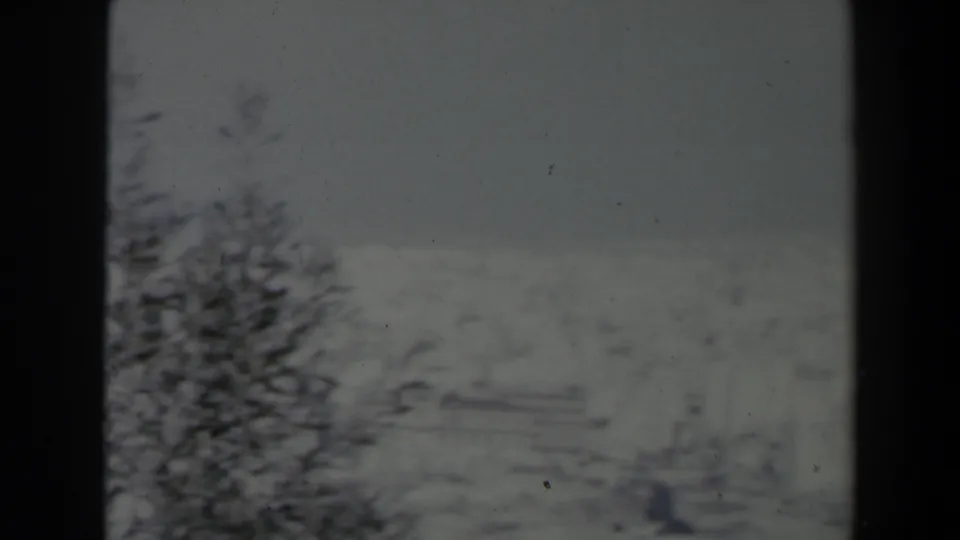 1960 Israel 8mm view of a distant town below mountains, partly framed by dark trees.