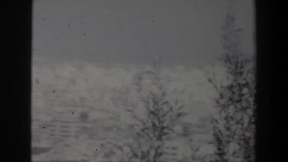 1960 Israel home-movie frame showing a pale mountain town partly obscured by foreground trees.