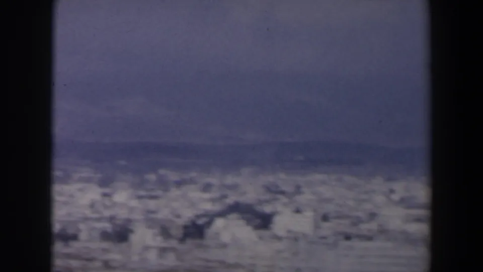 1960 Israel frame with a hazy coastal settlement, low horizon, muted sky, foreground trees, and dark film borders.