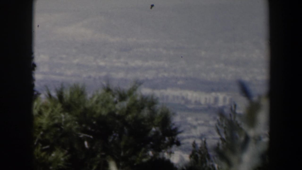 1960 Israel home-movie frame showing a distant city and hills through foreground foliage and dark film edges.