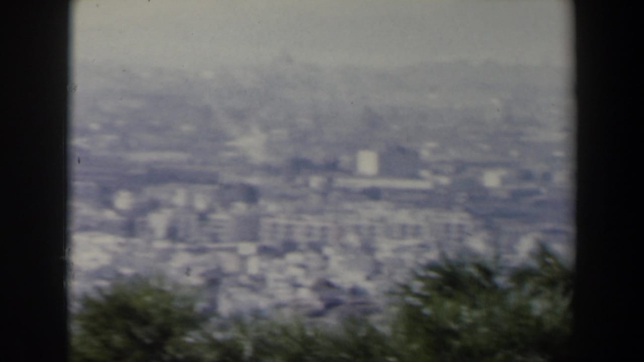 Blurred city buildings and hills framed by bushes and dark vertical edges.