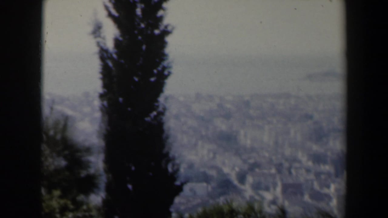 City view partly obscured by a tall evergreen tree and dark frame edges.