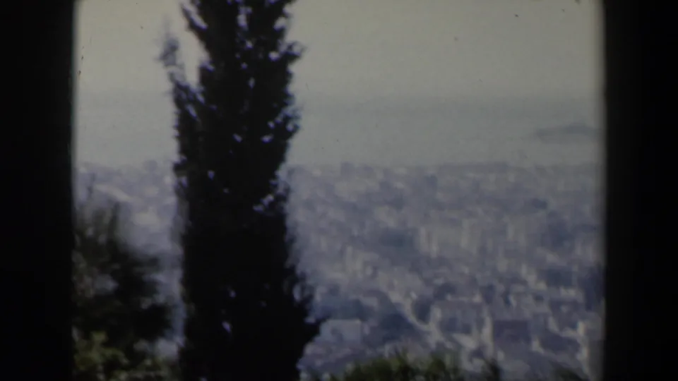 1960 8mm Israel cityscape with a tall evergreen in the foreground and a hazy urban landscape beyond.