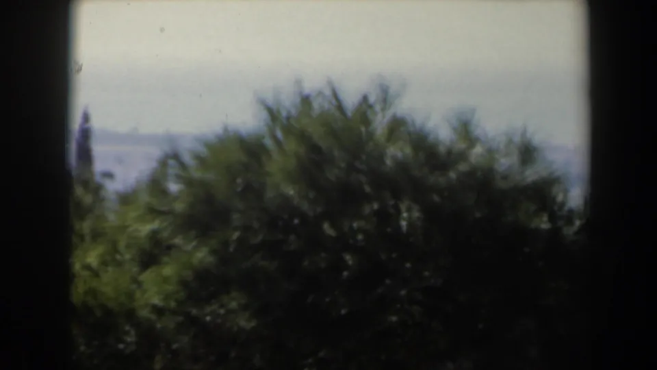 1960 8mm Israel overlook with shrubs and a possible coastline or large body of water in the distance.