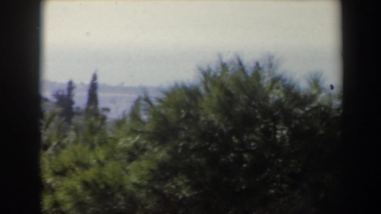 1960 Israel 8mm frame showing green trees in the foreground and a hazy coastal horizon beyond dark framing bars.