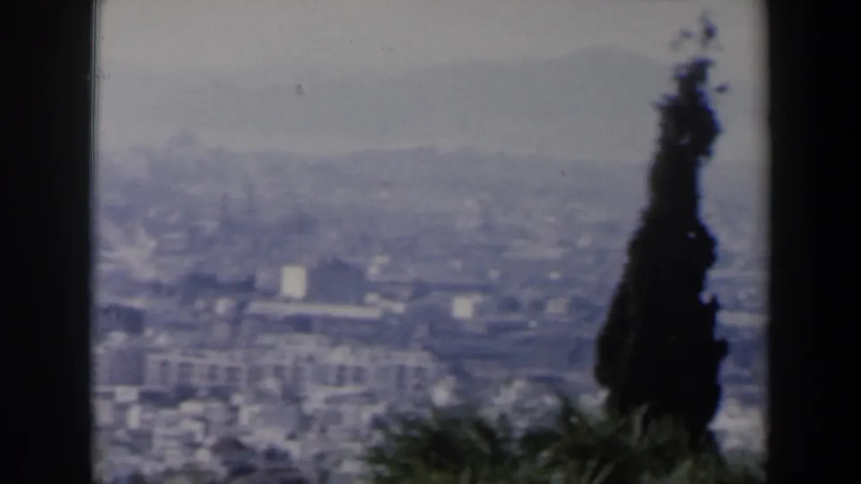 1960 Israel 8mm frame showing a distant cityscape with low buildings, hills, and a tall tree silhouette in the foreground.