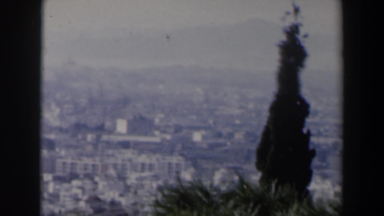 Hazy elevated city view framed by dark trees and a tall cypress in the foreground.