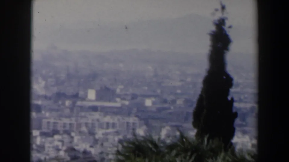 1960 8mm home-movie view in Israel showing a hazy city below, distant hills, and a dark cypress tree in the foreground.