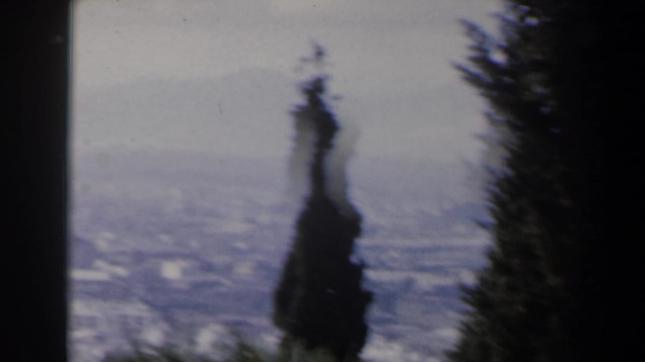 1960 Israeli city panorama on 8mm, with a cypress silhouette in front of a soft, hazy urban landscape.