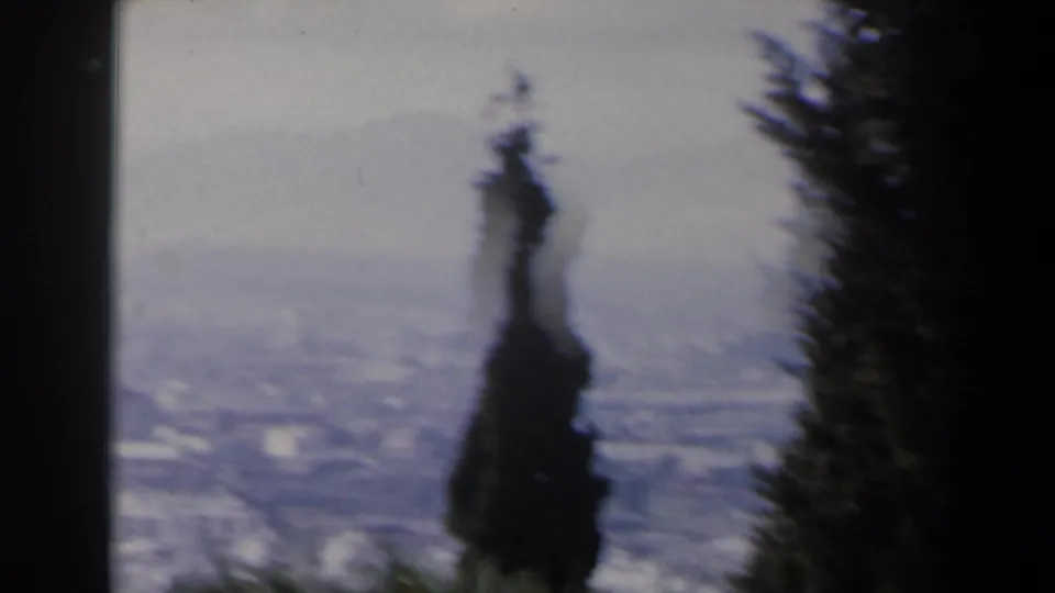 1960 Israeli city panorama on 8mm, with a cypress silhouette in front of a soft, hazy urban landscape.