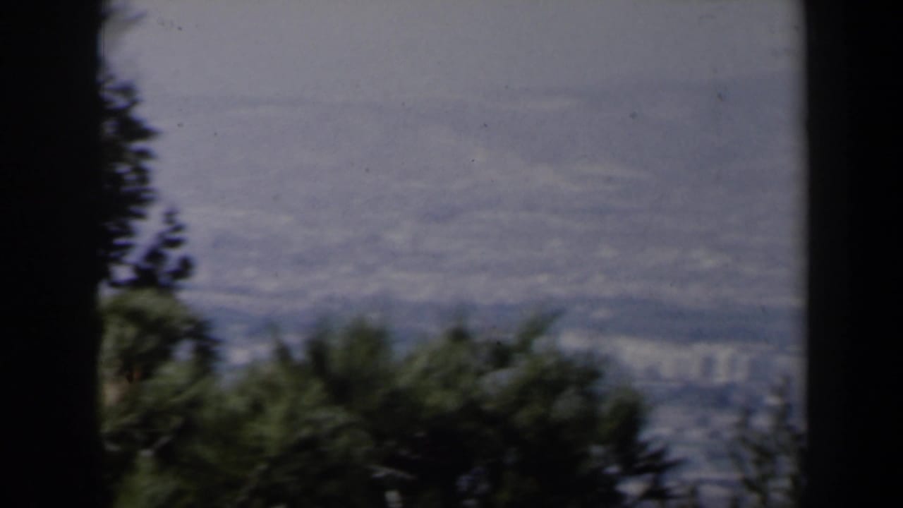 Soft city panorama seen through dark tree trunks and foreground foliage.