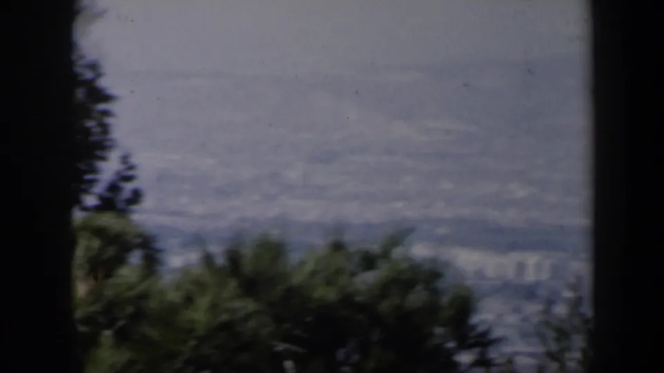 1960 Israel home-movie frame showing a hazy city view from a hilltop, partly framed by dark tree trunks and trees.