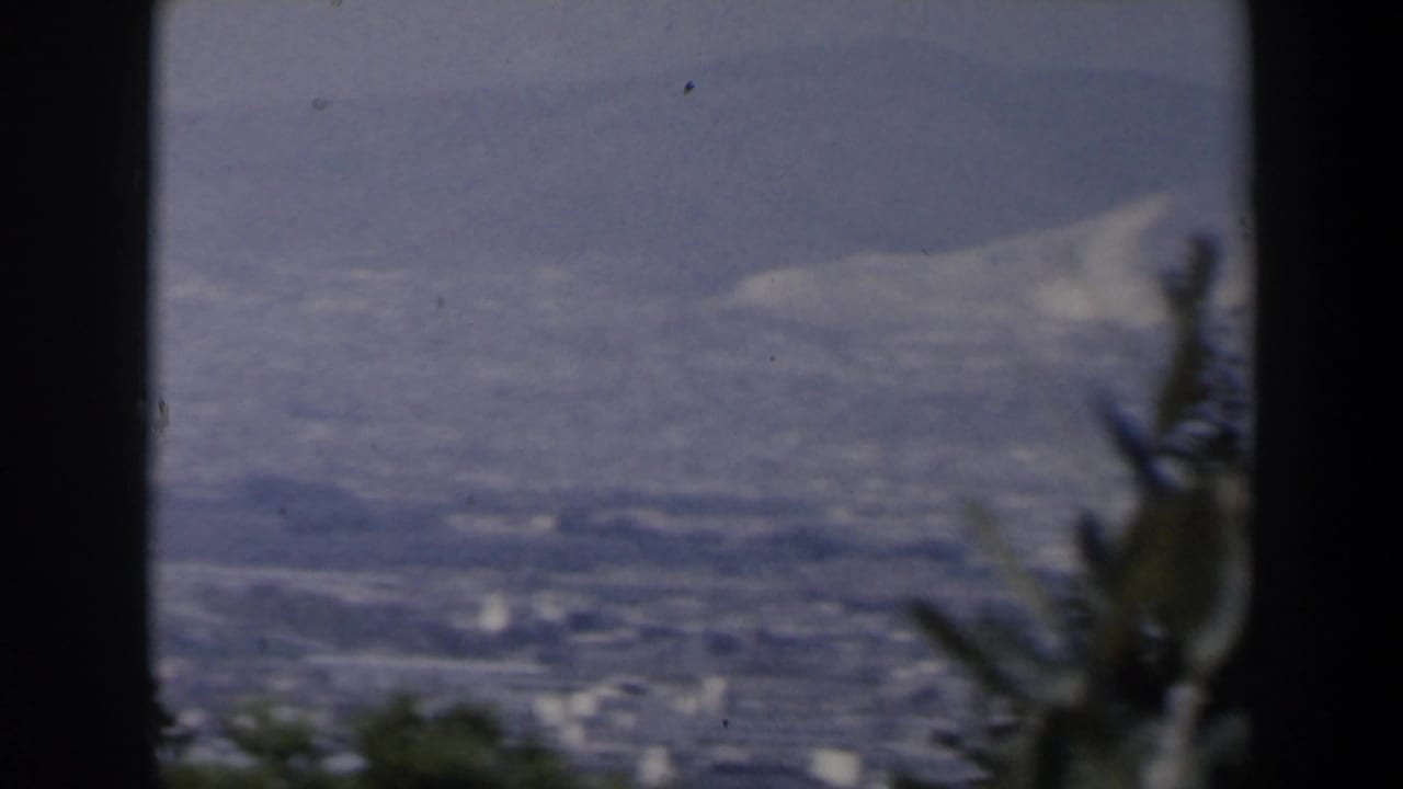 Distant city and mountain ridge framed by a central dark tree trunk.