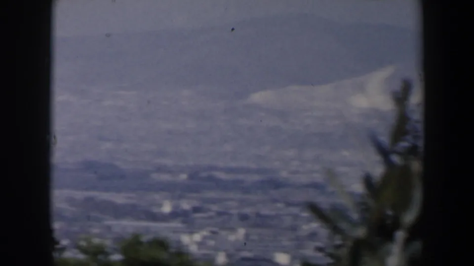 1960 Israel hilltop view with a dark tree trunk dividing the frame, hazy buildings below, and mountains in the distance.