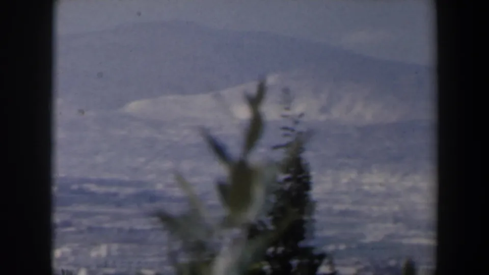 1960 Israel home-movie frame with soft foreground plants and a pale, distant cityscape spread below hills.