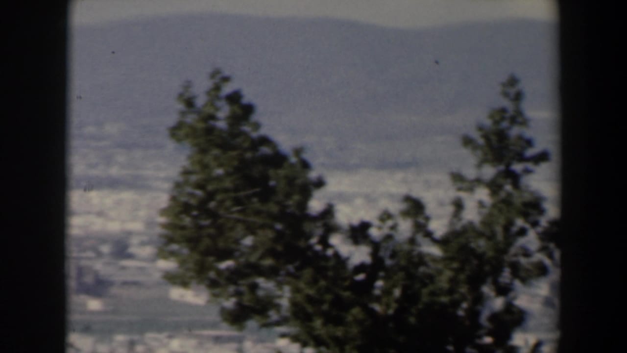 Distant city and mountains seen through dark vertical divisions and foreground trees.