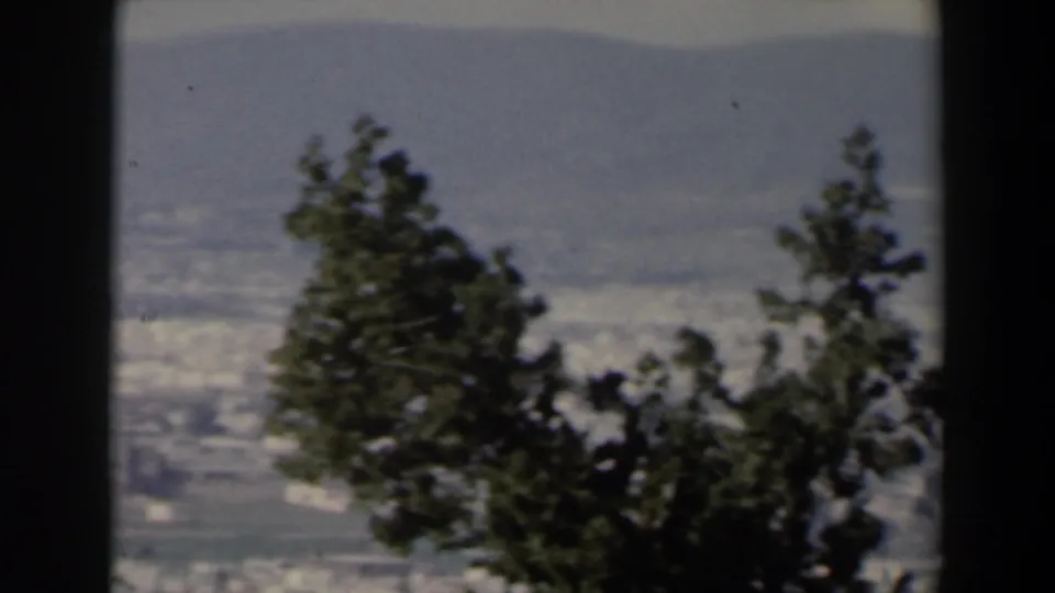 1960 Israel home-movie view of a hazy city and mountain ridge framed by dark divisions and evergreen trees.
