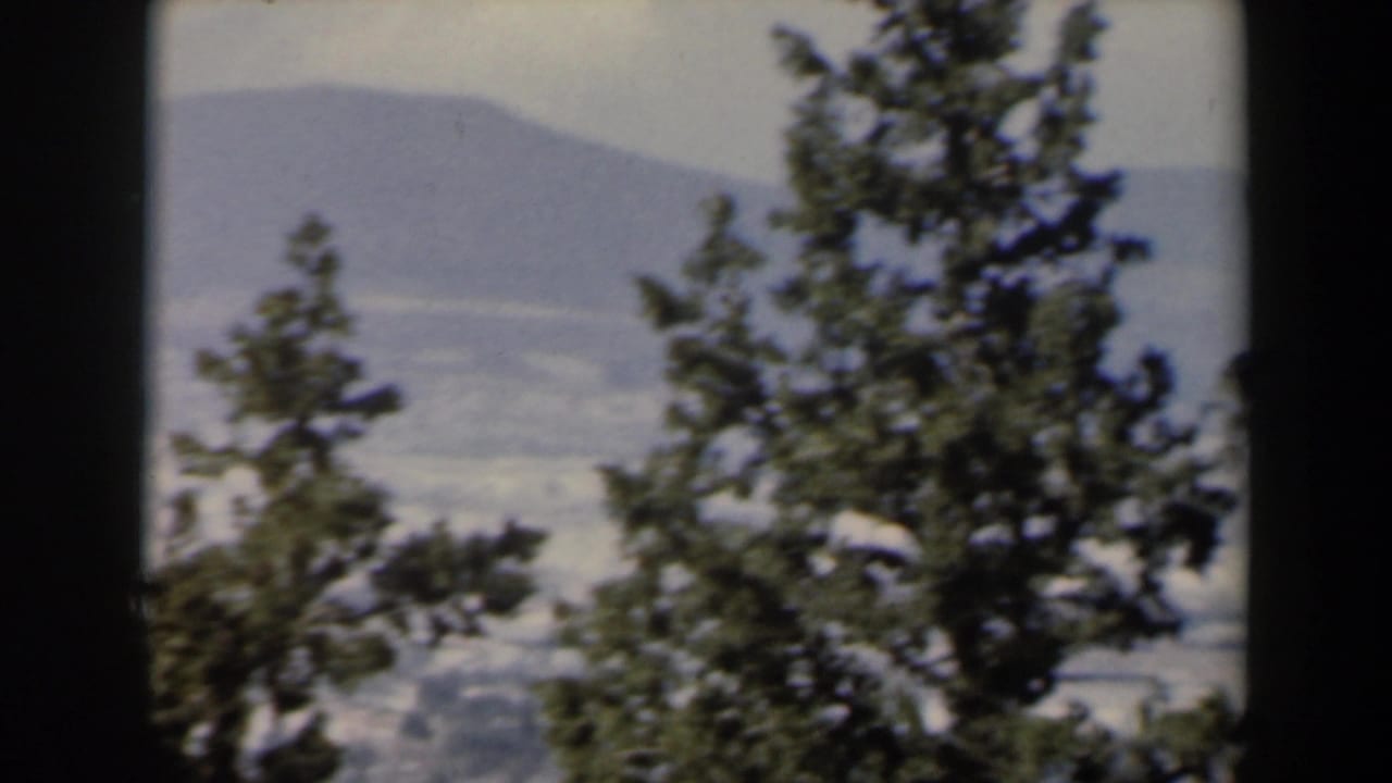 1960 Israel view across trees toward a broad cityscape and distant mountains under bright daylight.