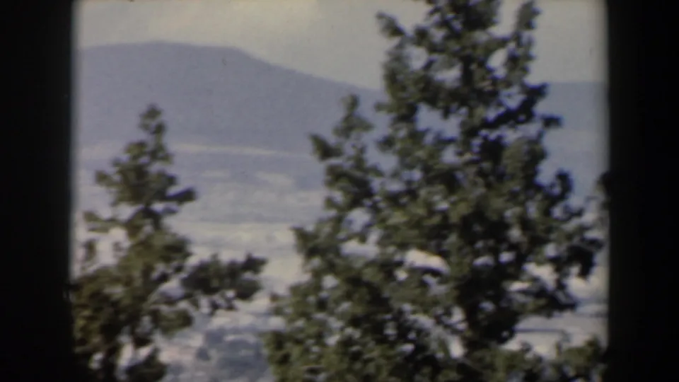 1960 Israel view across trees toward a broad cityscape and distant mountains under bright daylight.