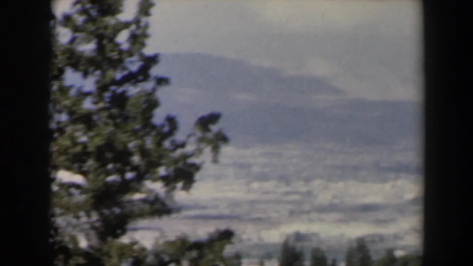 1960 Israel landscape frame with trees close to the camera and a soft city-and-mountain panorama behind them.