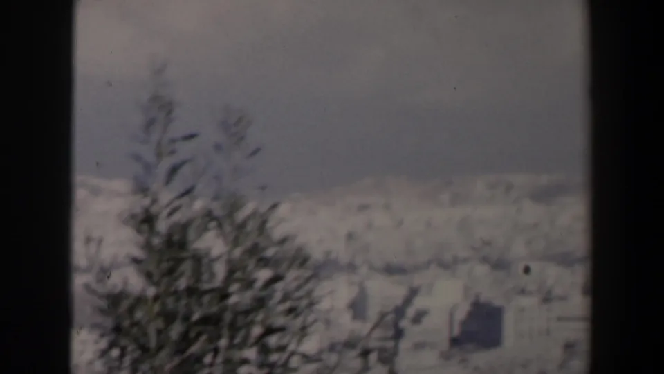 Conifer branches cross a soft 8mm view of a snow-covered Israeli valley and distant pale slopes under overcast light.