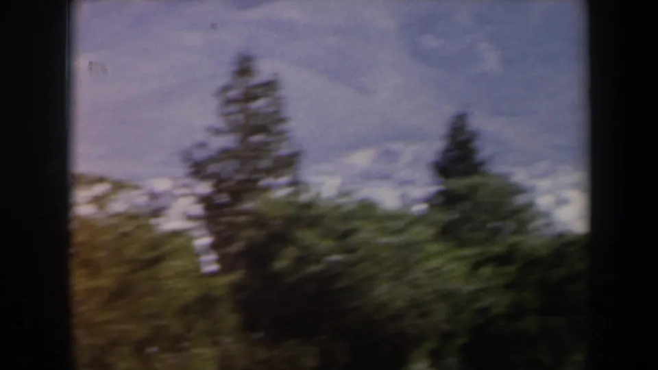 1960 8mm Israel frame with blurred evergreens and foliage against a pale mountainous background.