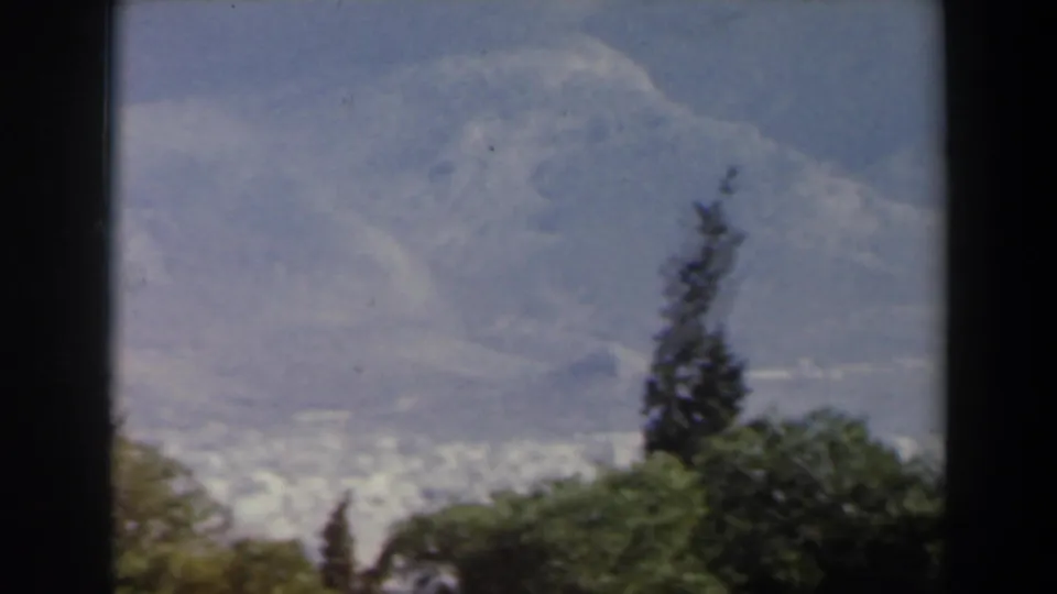 1960 8mm Israel view of a tall tree, green hillside, faint valley settlement, and hazy mountain ridge.