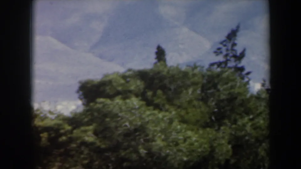 1960 8mm Israel frame showing dense foreground trees, a faint valley settlement, and hazy mountains under a pale sky.
