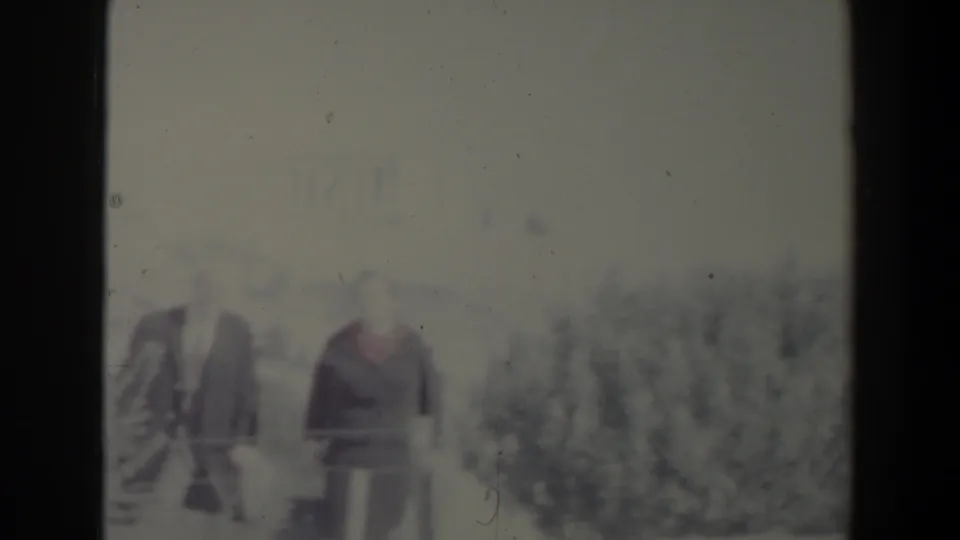 The couple appears again in a soft 8mm frame, standing near trees and a railing in bright Israeli daylight.