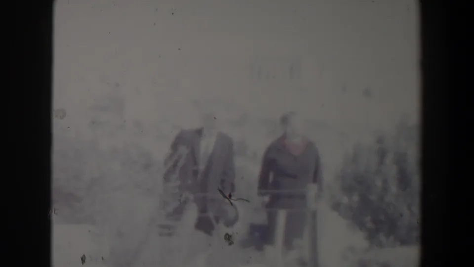 A man in a suit and a woman in dark clothing stand in a sunlit outdoor setting in 1960 Israel, with bushes and pale ground around them.