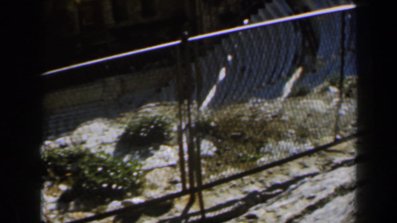 Stone ruins and railings seen from above with foliage in bright sun.