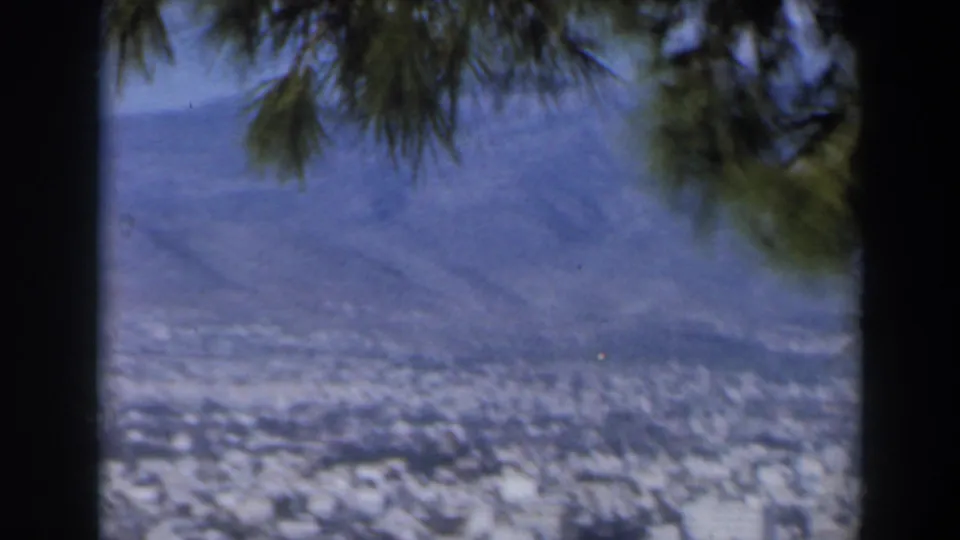 Distant mountains and a hazy cityscape appear beyond dark gate or window framing, with branches hanging into the view.