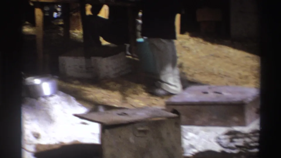 1969 South Africa 8mm frame showing a tented camp kitchen with metal pots, ash, trunks, and a person partly visible in the background.