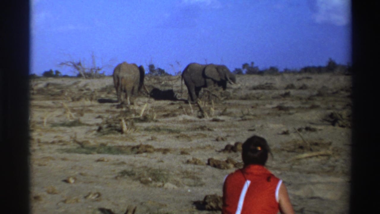 1969 South Africa 8mm frame showing a seated person in red watching two elephants across dry open habitat.