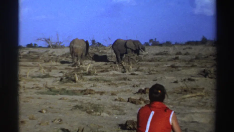 1969 South Africa 8mm frame showing a seated person in red watching two elephants across dry open habitat.