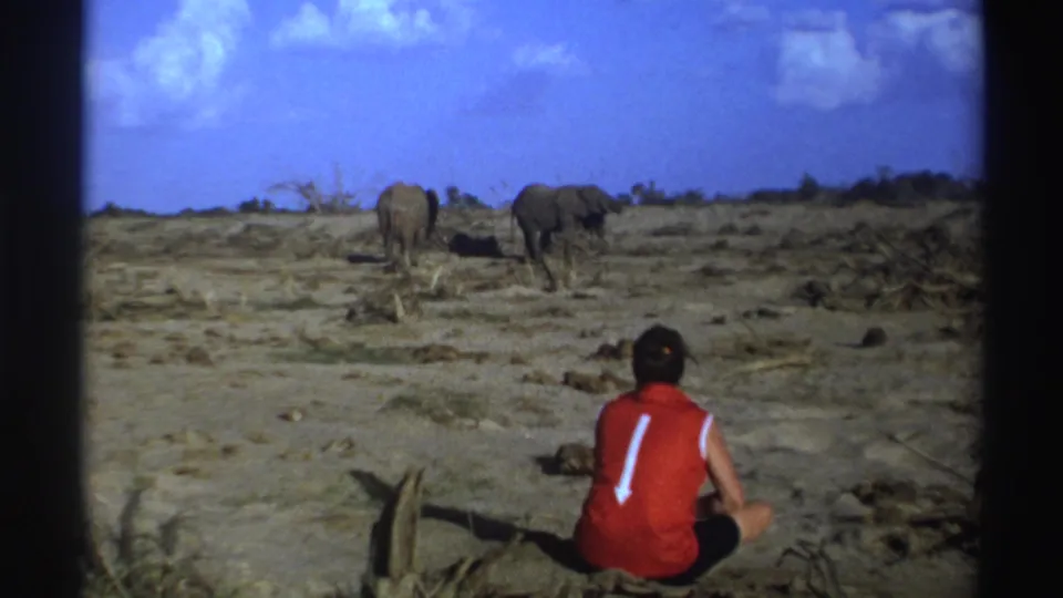 A person in a red sleeveless top sits with their back to camera as two elephants move across a South African landscape.