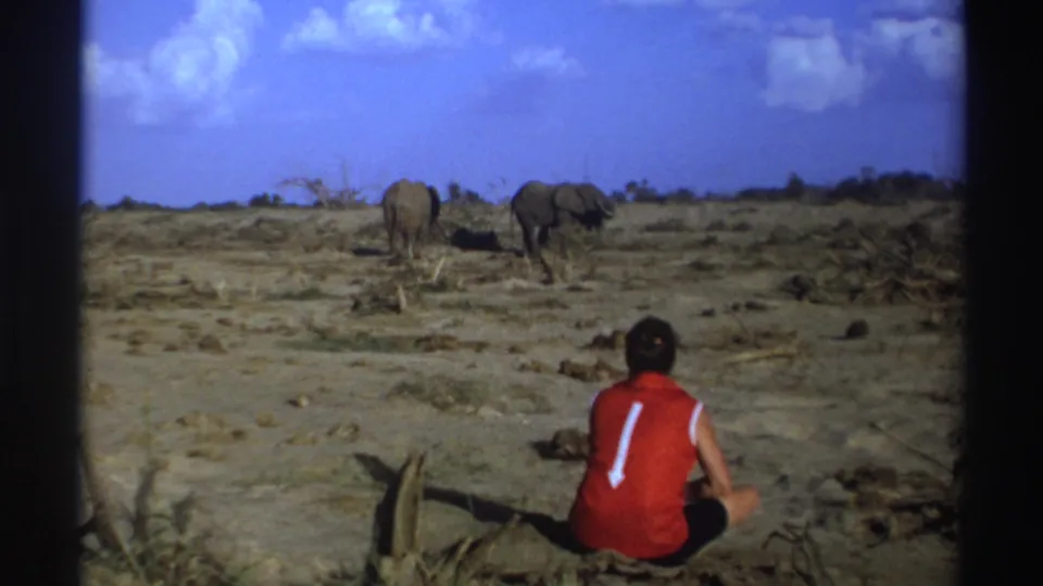 The 8mm frame shows a back-view observer seated on arid ground with two elephants ahead under a bright sky.